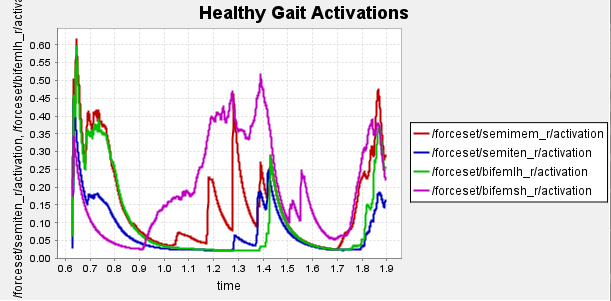 Figure 5a: Activation of hamstring muscles during 1 cycle of healthy gait