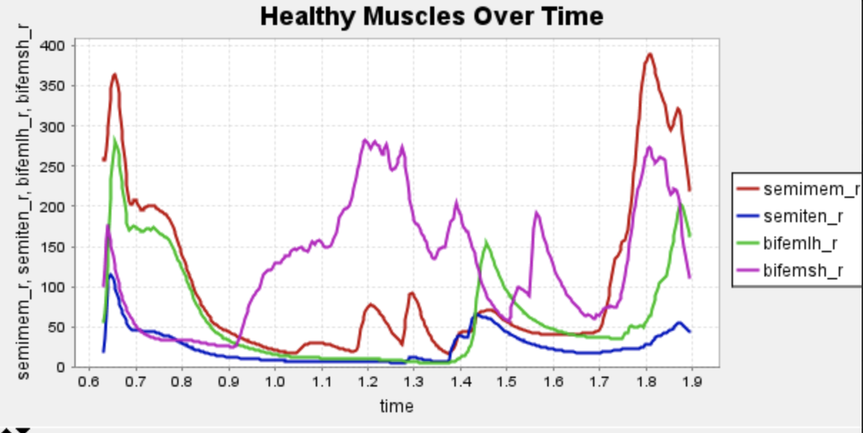Figure 3: Force contribution of each hamstring muscle during a walking gait without a hamstring strain