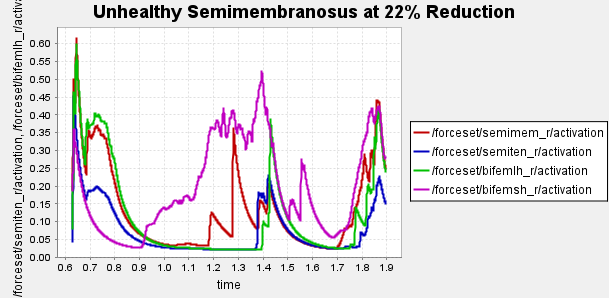 Figure 5b: Activation of hamstring muscles during 1 cycle of a patient with a semimembranosus tear (unhealthy gait)
