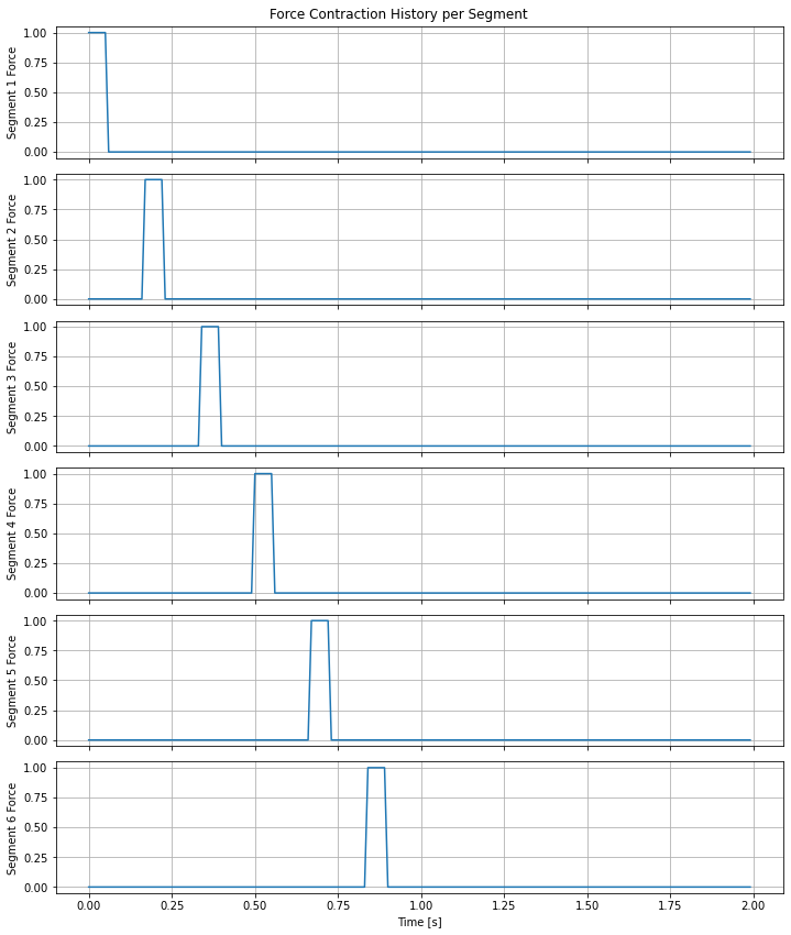 Figure 8: Segment based contraction force