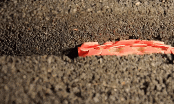 worm animation